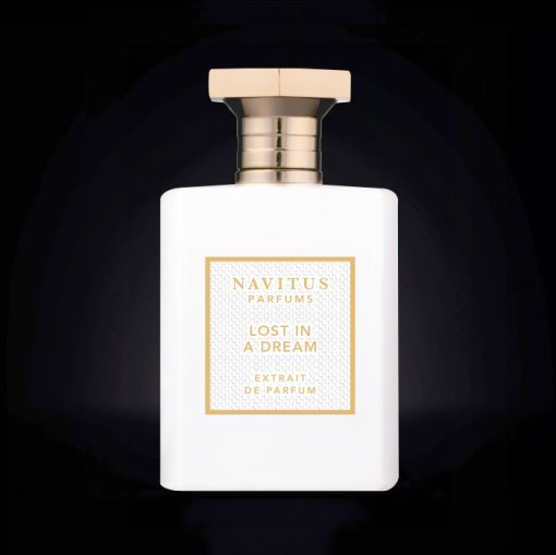 LOST IN A DREAM – 100ML